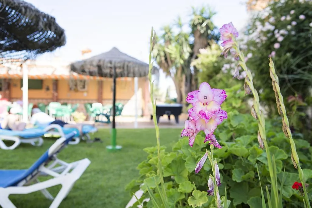 Apartment Benalmadena Estudio Arroyo De La Miel Spain